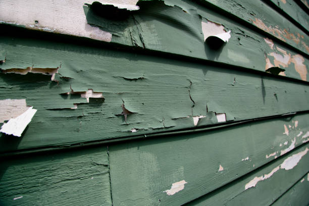 Affordable siding repair and maintenance services in Bergenfield, NJ