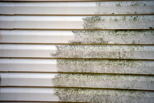  Bergenfield, NJ Siding Installation Pros