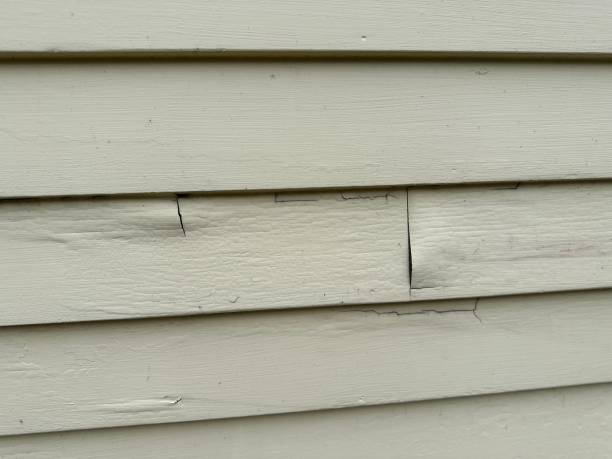 Best Residential Vinyl Siding Installation  in Bergenfield, NJ